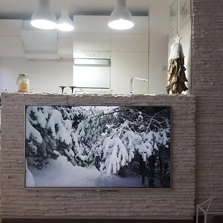 Winter Dream Apartment Brasov